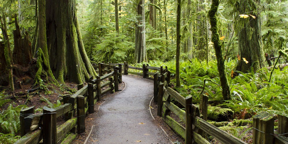 McMillan Provincial Park, Vancouver Island